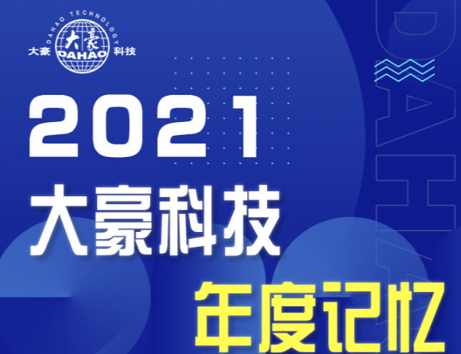 大豪科技2021年度记忆